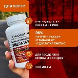 Risingstar омега-3 жирные кислоты высокой концентрации капсулы для взрослых 1620мг №60 — фото 4
