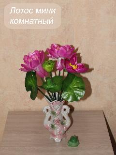 Искусственные цветы Лотос (букет) от бренда Holodilova