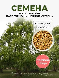 Семена Метасеквойи рассеченошишечной, глиптостробусовой "Хубей" бонсай, 0,2 грамма (примерно 90 шт)