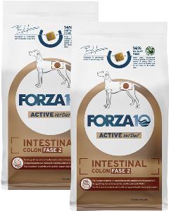 FORZA10 DOG INTESTINAL COLON FASE 2 ACTIVE для взрослых собак всех пород для профилактики колитов и заболеваний желудочно-кишечного тракта (10 + 10 кг)