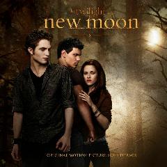 Виниловая пластинка Various The Twilight Saga: New Moon (Original Motion Picture Soundtrack) (Gold Vinyl), 12"