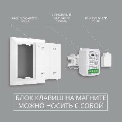 Беспроводной дублирующий выключатель 2кн. ROXIMO SRFCK02 для Wi-Fi модуля, белый
