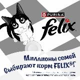 Влажный корм, "Felix Аппетитные кусочки. Двойная вкуснятина", для взрослых кошек и котов, с ягненком и курицей в желе, 75г 12 шт, Крупный, Малый, Средний — фото 3