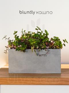 Кашпо прямоугольное Bluntly, серое, искусственный камень, лак, 19x10 см