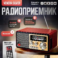 Радиоприемник Venera Silver, с поддержкой карт памяти, золотистый