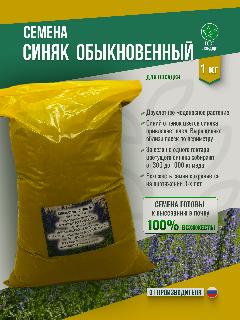 Семена синяка обыкновенного - 1 кг Мосагрогрупп