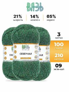 Пряжа для вязания Вязь 'Северная' 100г, 210м (21% шерсть, 14% нейлон, 65% акрил) (09 зеленый), 3 мотка