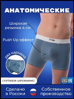 Трусы Анатомия, серый, 48