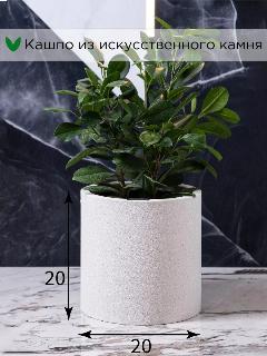 Кашпо / горшок для цветов Evabrick Cylinder 5 л искусственный камень белый
