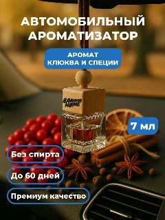 Автодиффузор "Клюква и специи"