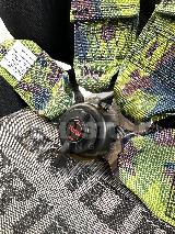 Декоративные спортивные ремни Sparco Style камуфляж 4-х точ 3 дюйма — фото 2