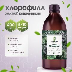 Хлорофилл Nutrissen, пищевой концентрат, для очищения организма, темно-коричневый