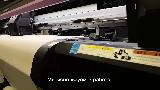 Фотообои детские флизелиновые на стену 3D "Котята" 300х270 (ШхВ), 3д обои в детскую для девочки, светло-розовый — фото 2
