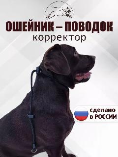 Контроллер корректор поведения удавка с фиксатором, поводок для собак, черный