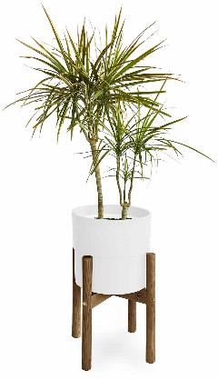 Подставка для цветов деревянная напольная Flora Urban Один, цв: Орех американский Ø: 25 см h: 35 см (S)