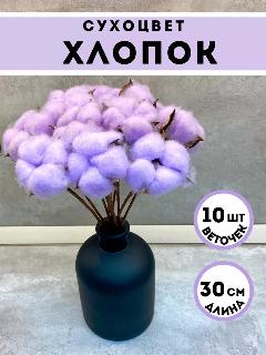 Декоративные сухоцветы SoBeLeoGarden, хлопок, лиловый, 10 веток