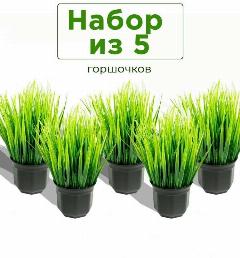Искусственное растение и цветы в кашпо Осока