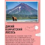 Кормовая добавка для животных Vividus масло дикого лосося с астаксантином, 250 мл — фото 4