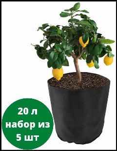 Тканевый горшок для растений Bag Pot Eco 20л, набор из 5 шт