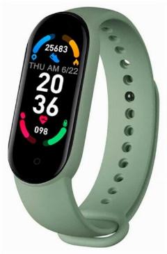 BandRate Smart BRSM66BGN