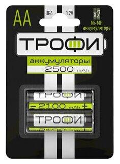 Трофи HR6-2BL 2500 mAh (20/240/11520)
