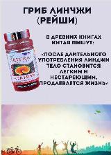 Капсулы гриба линчжи/ганодерма/рейши для мозга и нервной системы, прозрачный — фото 4