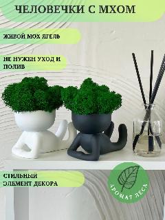 Мох стабилизированный в кашпо человечек, набор из 2 штук для декора дома, черный/мох зеленый, 110х70х60