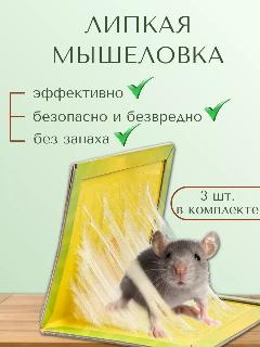 Мышеловка клеевая для мышей липучка, безопасный клей, 3 шт, 34х22