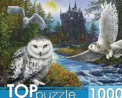 ПазлыTOPpuzzle 1000 деталей. Магическая сова и замок Ф1000-9941, (Рыжий кот), 48.5x68.5 см