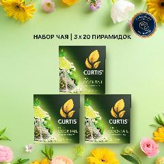 Чай зеленый с добавками CURTIS Hugo Cocktail, набор 3 уп х 20 пир