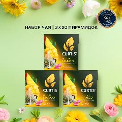 Чай зеленый ароматизированный CURTIS Delicate Mango, набор 3 уп х 20 пир