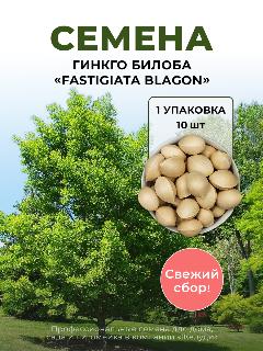 Семена Гинкго Билоба, или Гинкго двулопастный 'Fastigiata Blagon', 10 шт, пион, кремовый