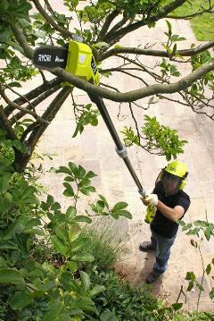 Аккумуляторный штанговый высоторез Ryobi ONE+ OPP1820, салатовый, серый