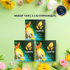 Чай зеленый ароматизированный CURTIS Bahama Nights, набор 3 уп х 20пир