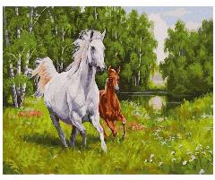 Kubanstar. Картина по номерам, 40х50 см. Холст на подрамнике, 40x30 см