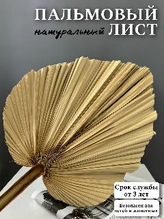 Лист пальмы сухоцветы для декора и интерьера 1 шт, натуральный