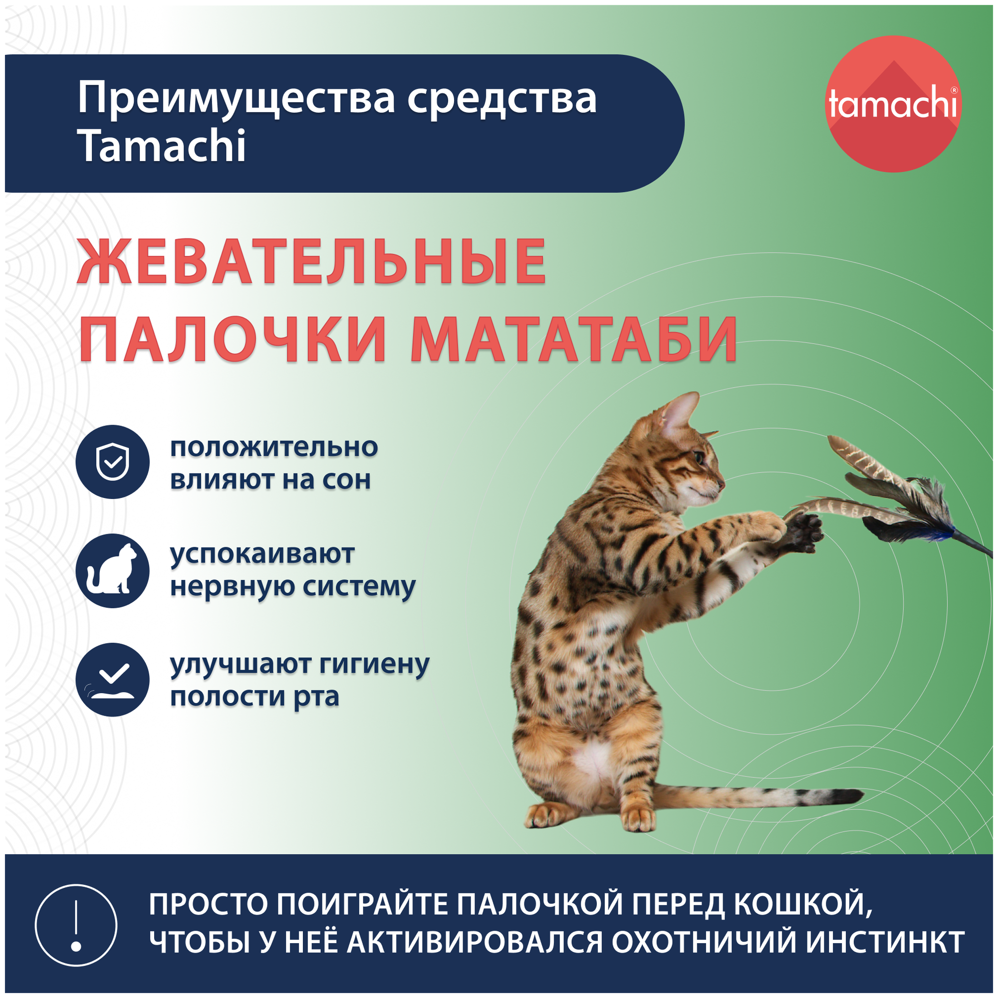Корректор поведения Tamachi Мататаби, жевательные палочки для кошек, 3 шт — фото 3