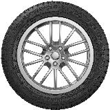 Зимняя шипованная шина Cordiant Snow Cross 175/70 R13 82T шип — фото 4