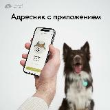 Адресник с QR кодом, сканом носа и бесплатным приложением PetComeBack для собак и кошек IN GOOD COMPANY, цвет зеленый, грасс, 44х30х5 — фото 4