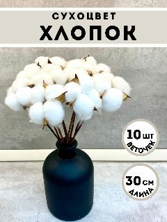 Цветы хлопка белые, хлопокбелый